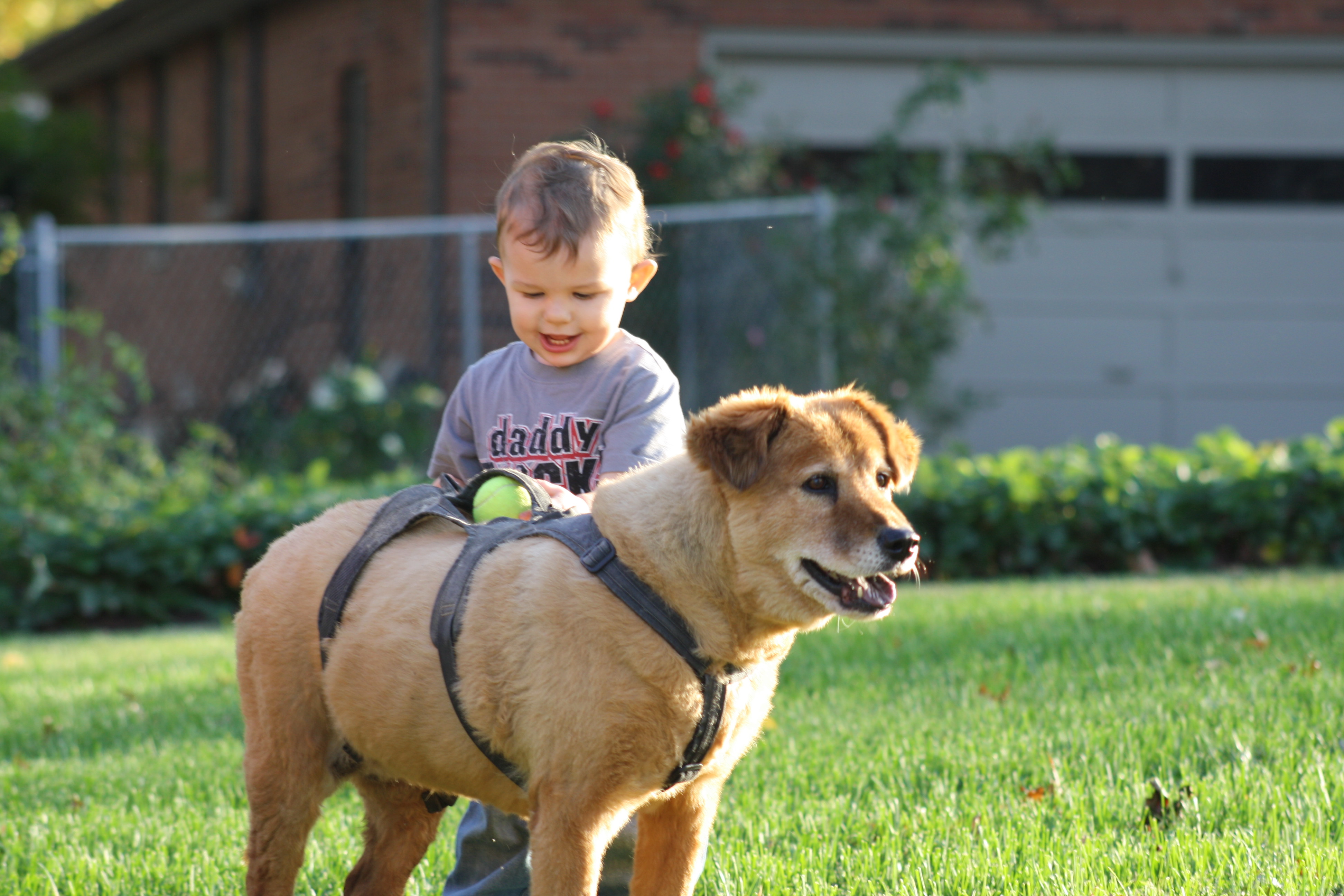 October 2012 (168) - Copy